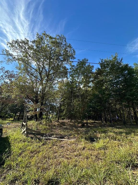 234 Private Road 34615, Sumner, TX 75486 photo