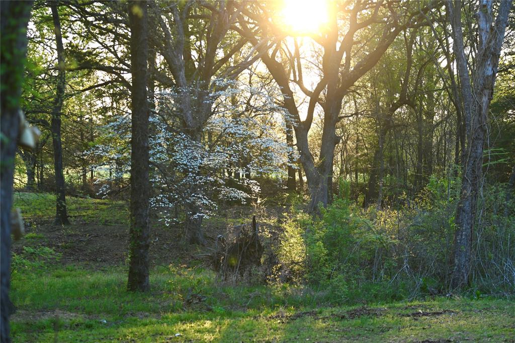 2211 Farm To Market Road 2029, Telephone, TX 75488
