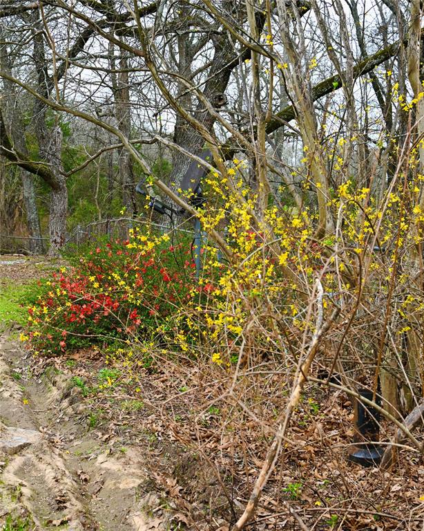 2211 Farm To Market Road 2029, Telephone, TX 75488 photo