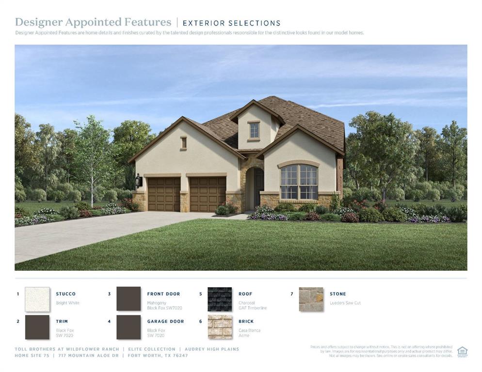 717 Mountain Aloe Dr, Fort Worth, TX 76247 photo