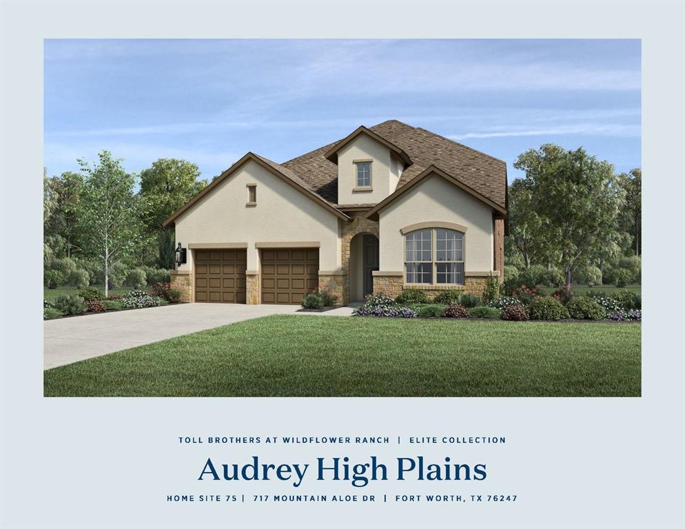 717 Mountain Aloe Dr, Fort Worth, TX 76247