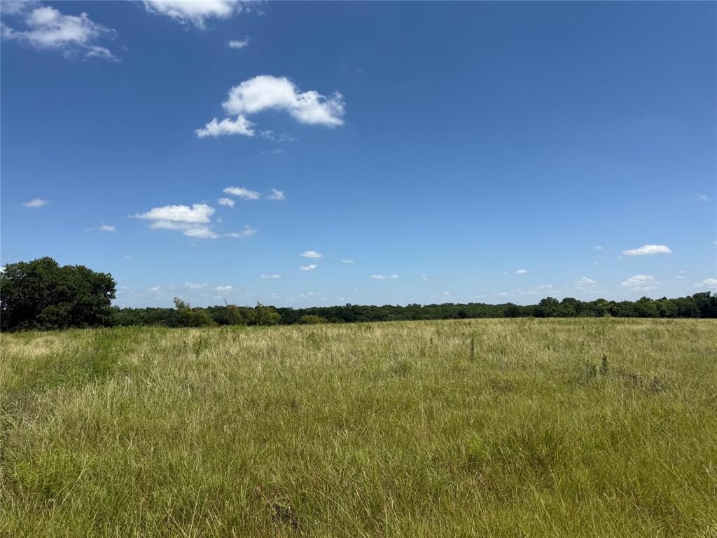 1 County Road 3550, Honey Grove, TX 75446 photo
