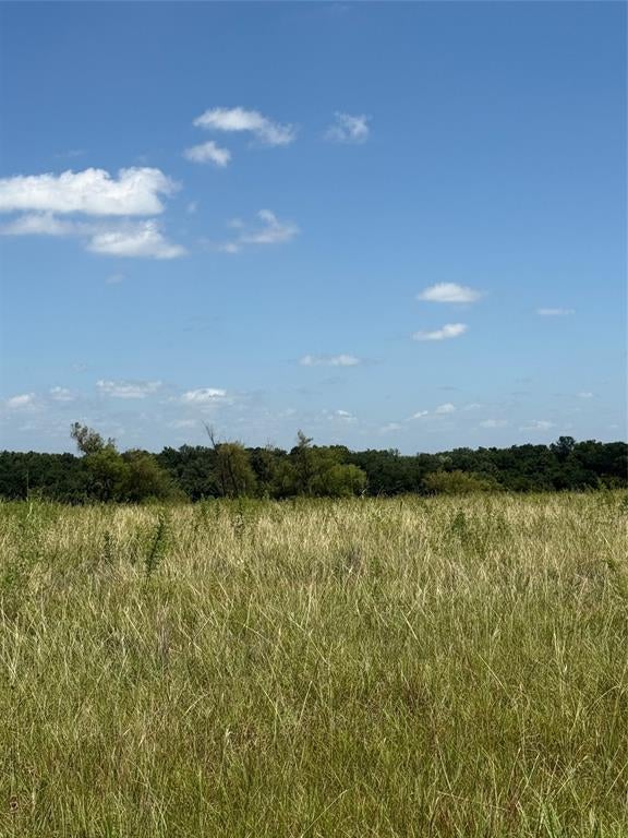1 County Road 3550, Honey Grove, TX 75446 photo