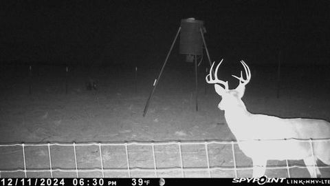 Ranch in Seymour TX TBD FM 1919.jpg