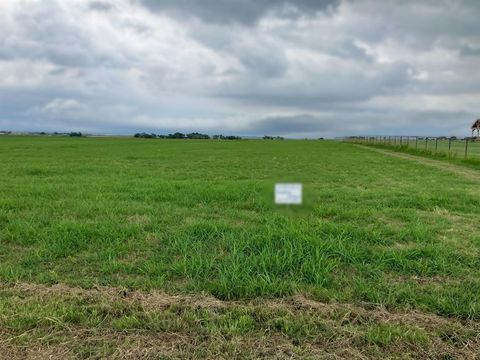 Unimproved Land in Grandview TX 9000 CR 105.jpg