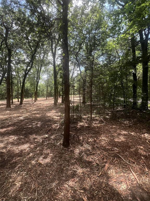 0 County Road 2980, Windom, TX 75492 photo