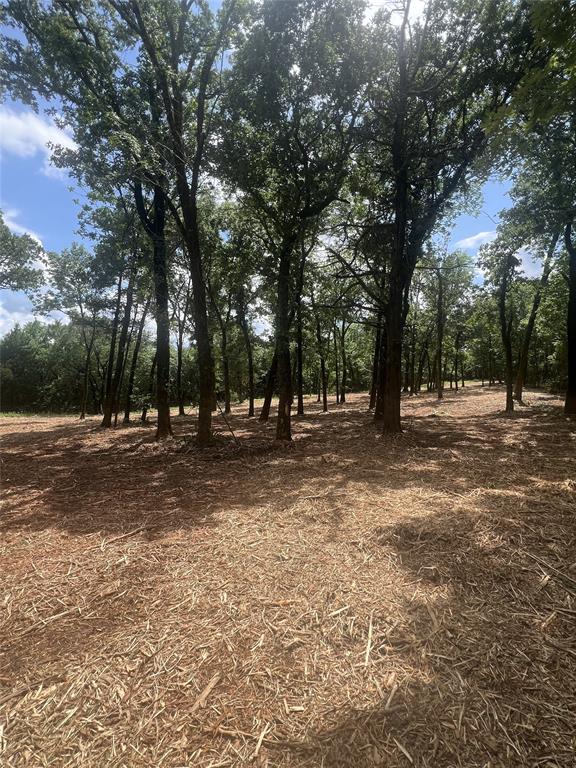 0 County Road 2980, Windom, TX 75492