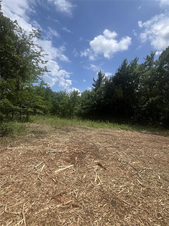 0 County Road 2980, Windom, TX 75492 photo