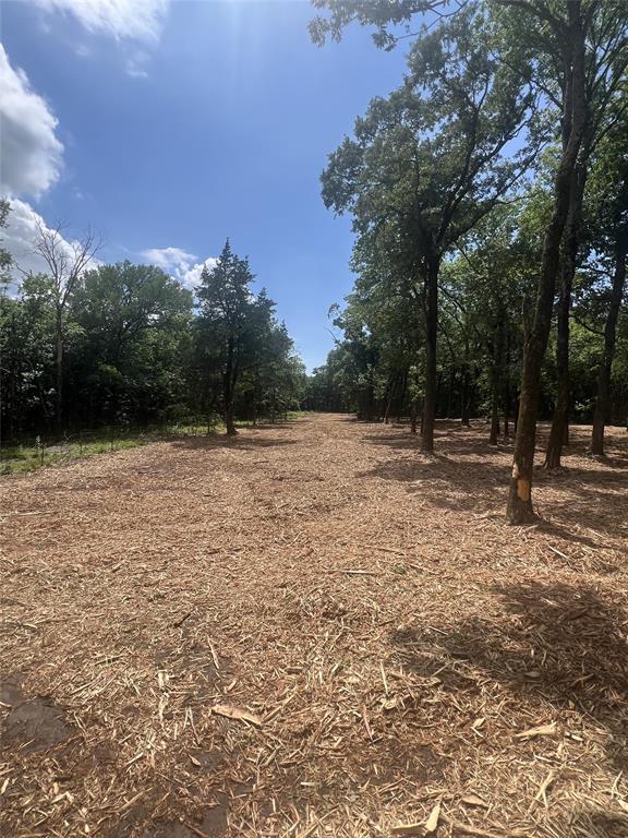 0 County Road 2980, Windom, TX 75492 photo