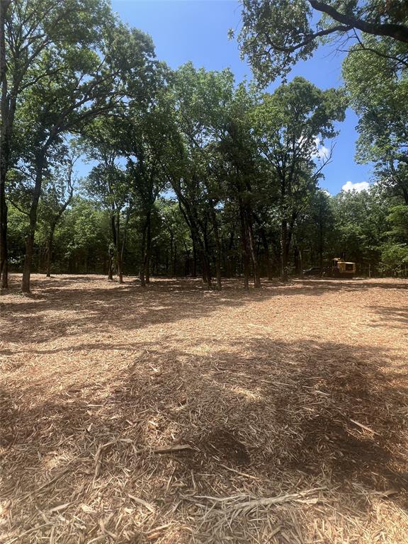 0 County Road 2980, Windom, TX 75492 photo