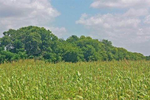 Unimproved Land in Alvarado TX 2417 County Road 211.jpg