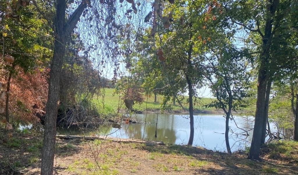 305 Sailview Ct, Honey Grove, TX 75446 photo