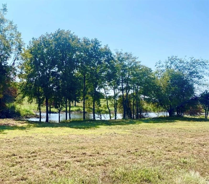 305 Sailview Ct, Honey Grove, TX 75446 photo