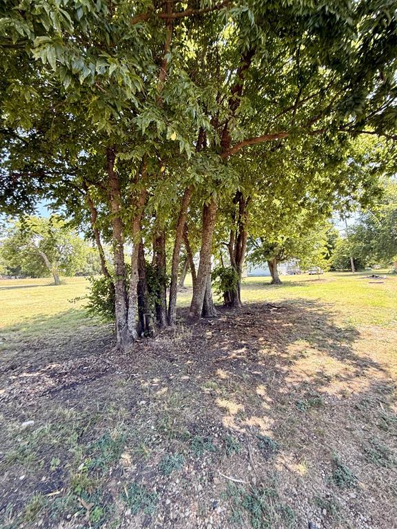 90 2 St, Honey Grove, TX 75446 photo