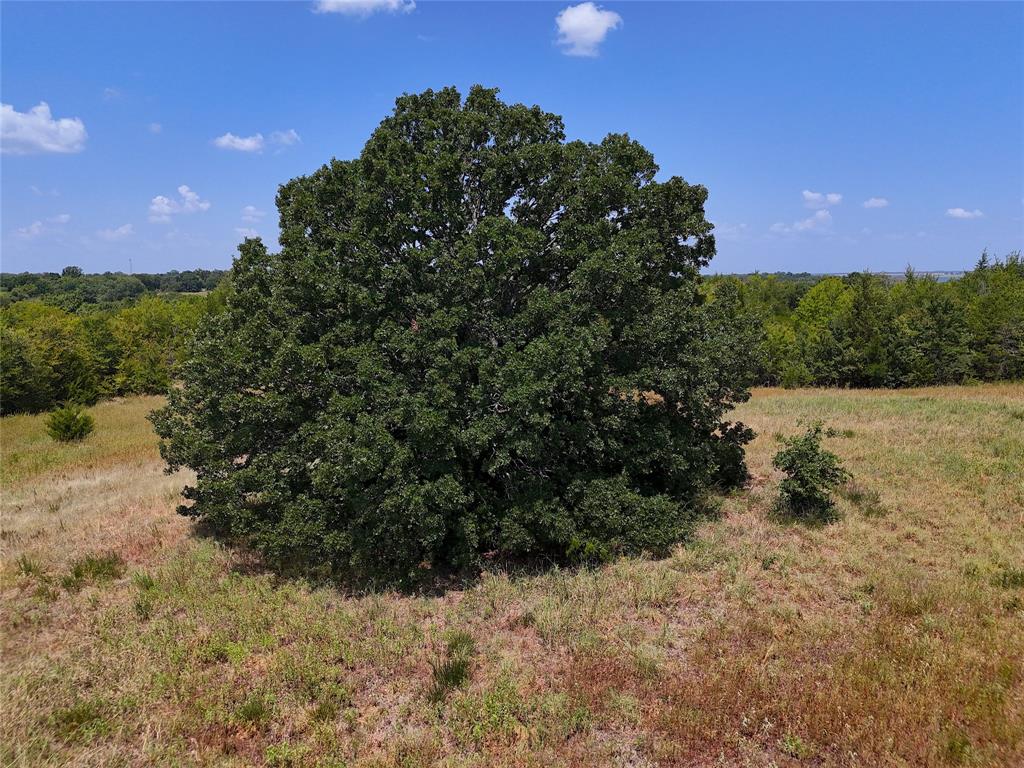 1600 County Road 2765, Honey Grove, TX 75446 photo