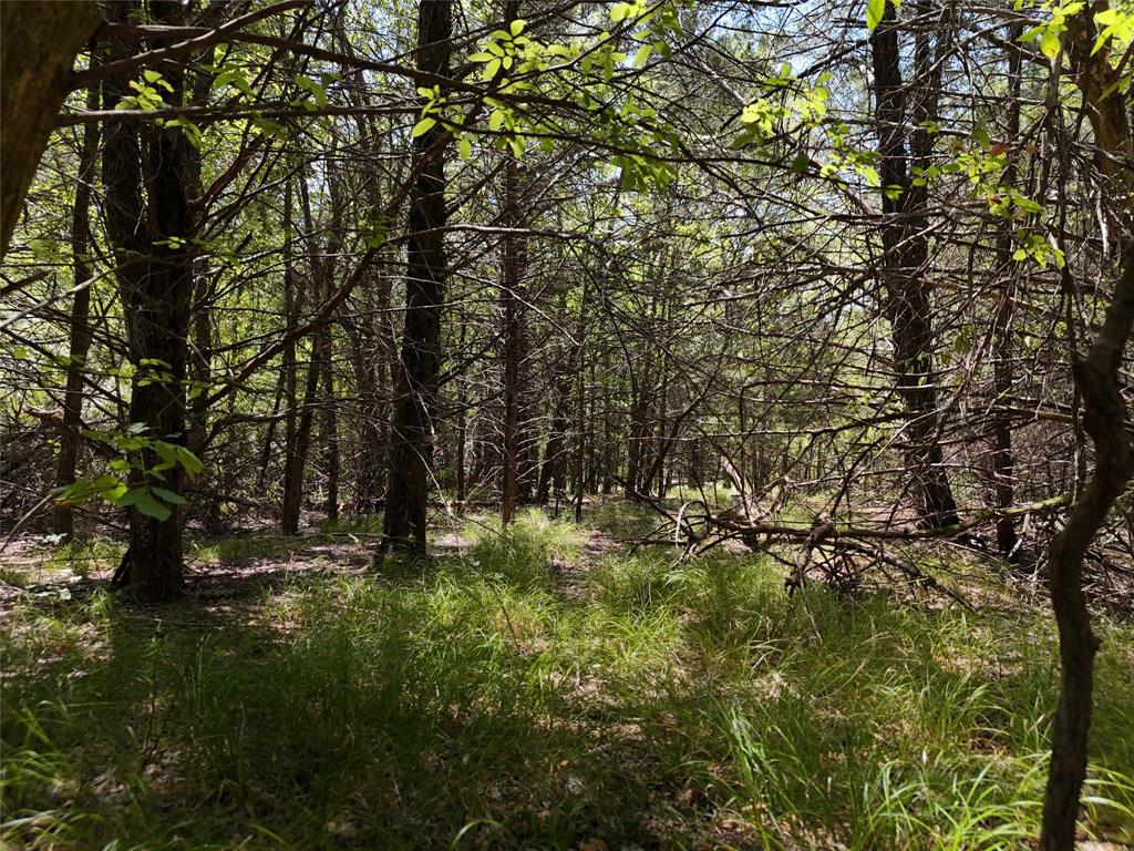 1600 County Road 2765, Honey Grove, TX 75446 photo