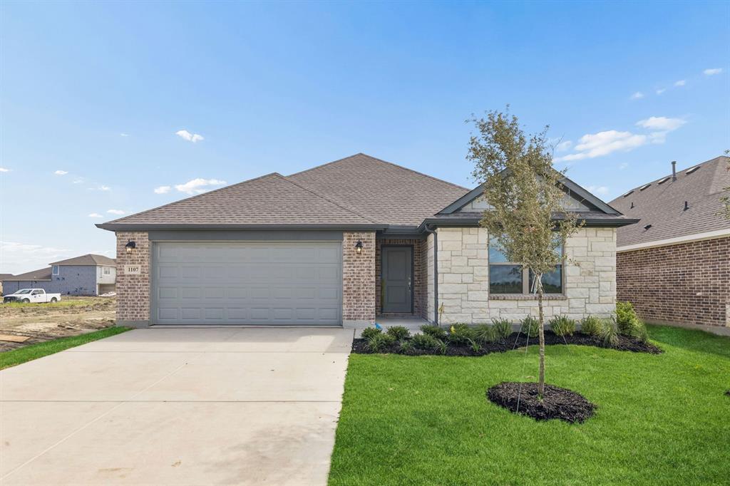 1107 Shorthorn St, Royse City, TX 75189