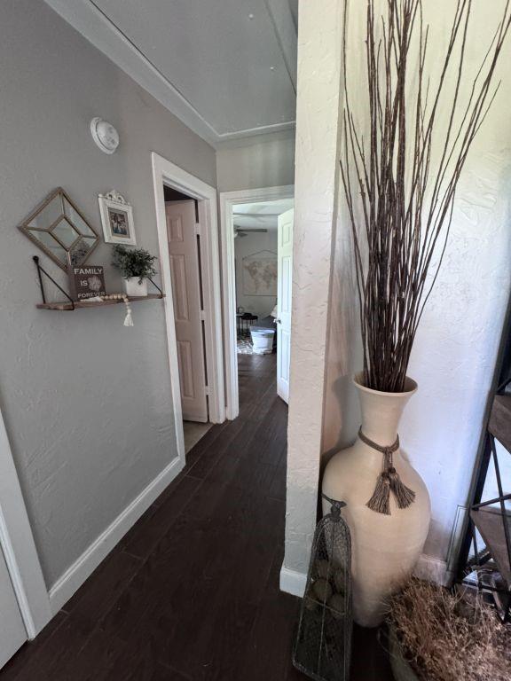 630 Dove Trl, Lewisville, TX 75077 photo