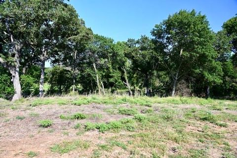 Unimproved Land in Springtown TX Lot 68 Camden Lane.jpg