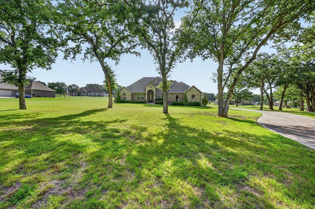 197 Ellis Creek Dr, Weatherford, TX 76085 photo