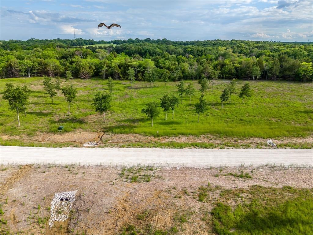398 Timberland Hts, Windom, TX 75492 photo