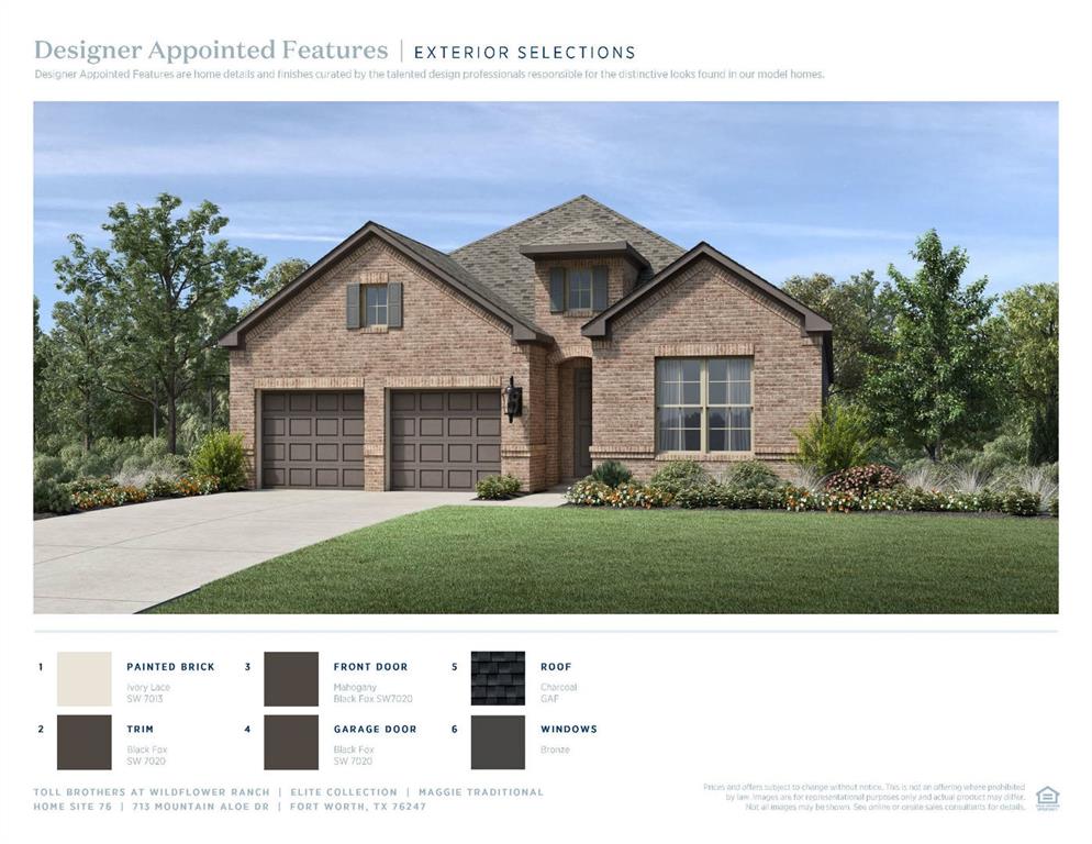713 Mountain Aloe Dr, Fort Worth, TX 76247 photo