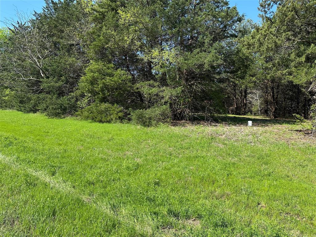 1 Farm To #TRACT MARKET 1743, Honey Grove, TX 75446 photo