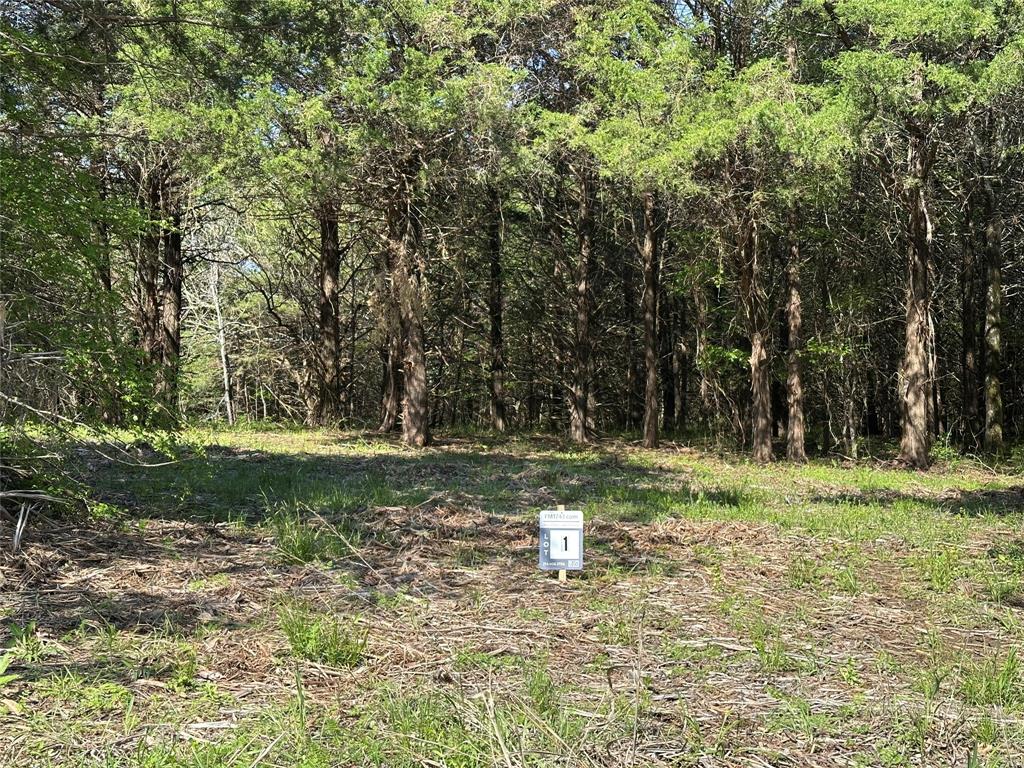 1 Farm To #TRACT MARKET 1743, Honey Grove, TX 75446 photo