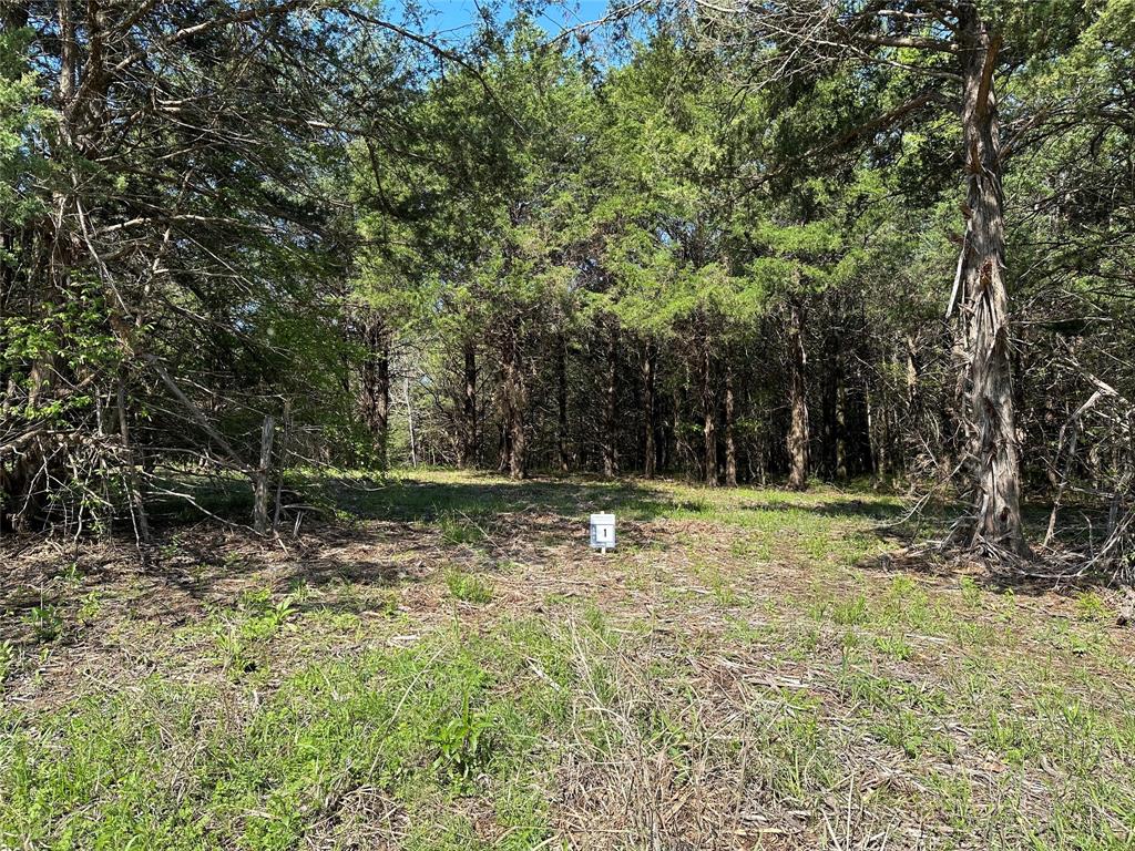 1 Farm To #TRACT MARKET 1743, Honey Grove, TX 75446 photo