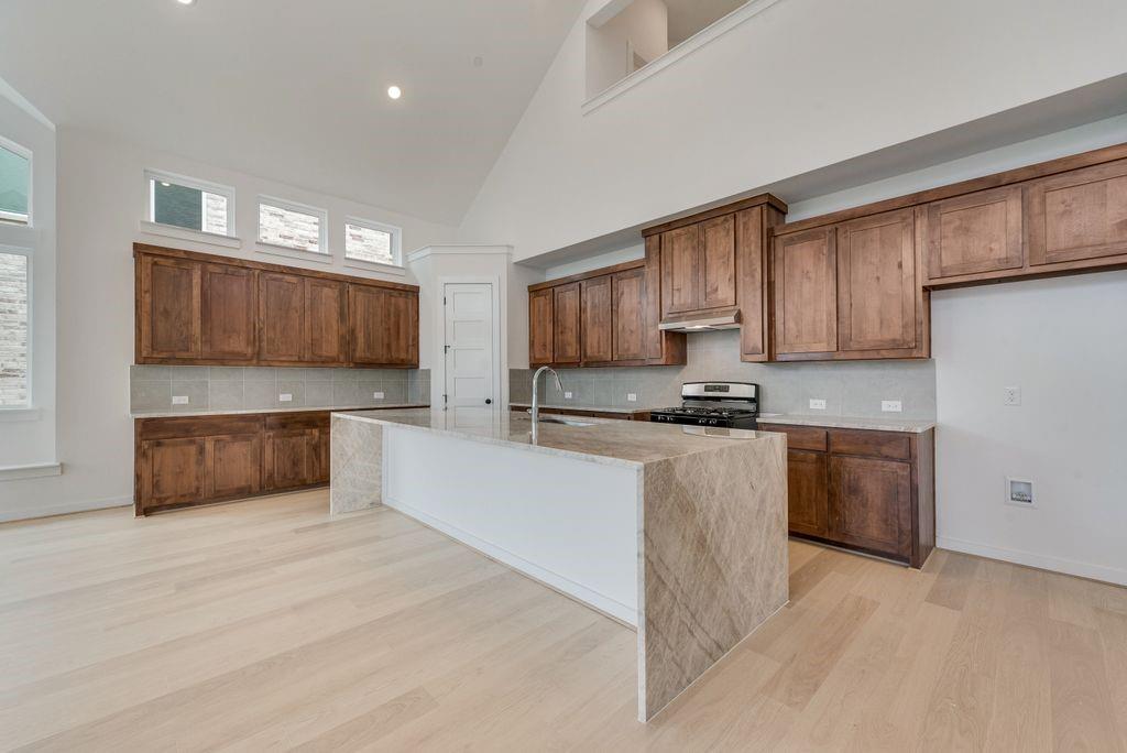 1328 Cartona Rd, Fate, TX 75087 photo