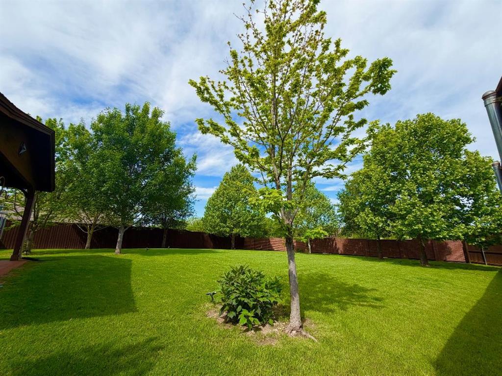 1000 Chapala Ct, Prosper, TX 75078 photo