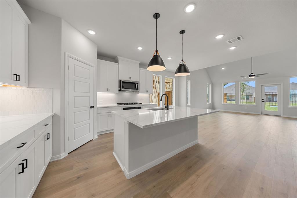 4101 Blue Spruce Ave, Little Elm, TX 75068 photo