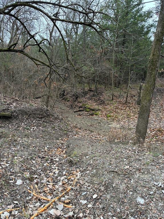 23 County Road 2950, Windom, TX 75306 photo