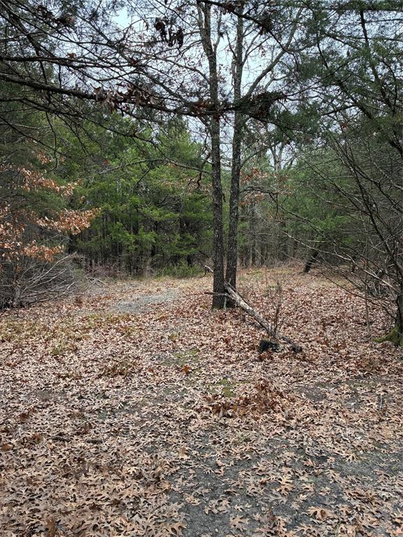 23 County Road 2950, Windom, TX 75306 photo