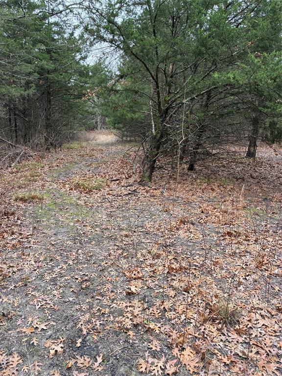 23 County Road 2950, Windom, TX 75306 photo