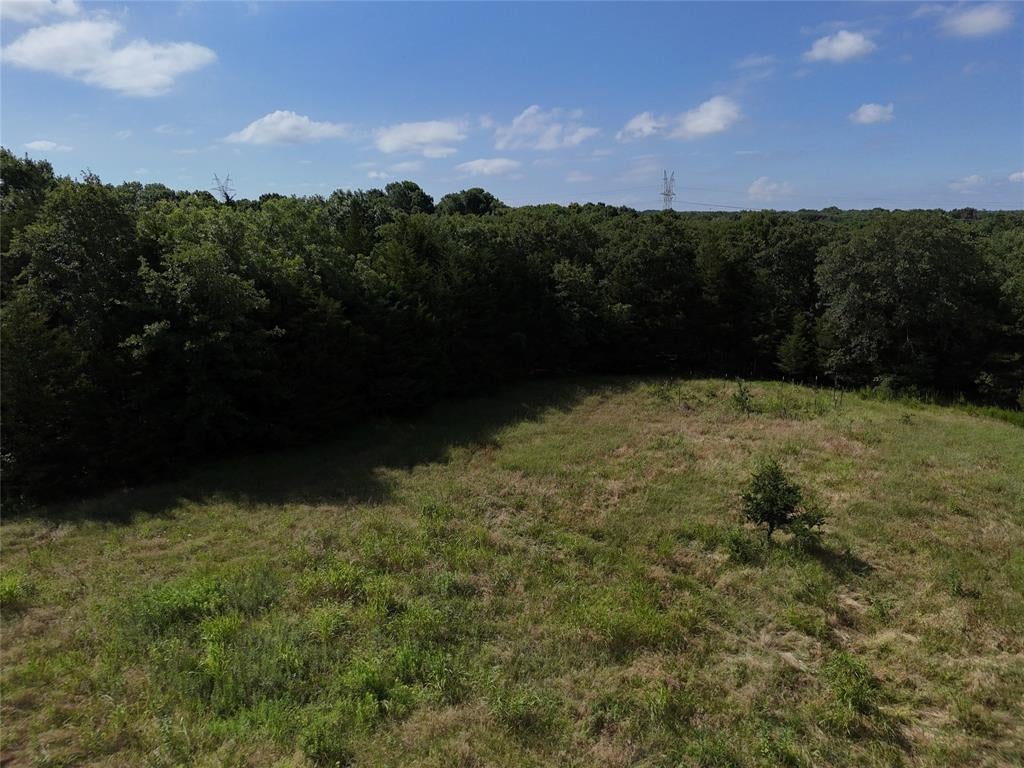 1700 County Road 2770, Honey Grove, TX 75446 photo