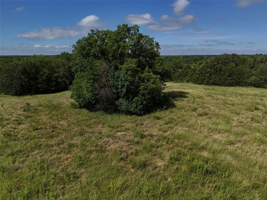 1700 County Road 2770, Honey Grove, TX 75446 photo