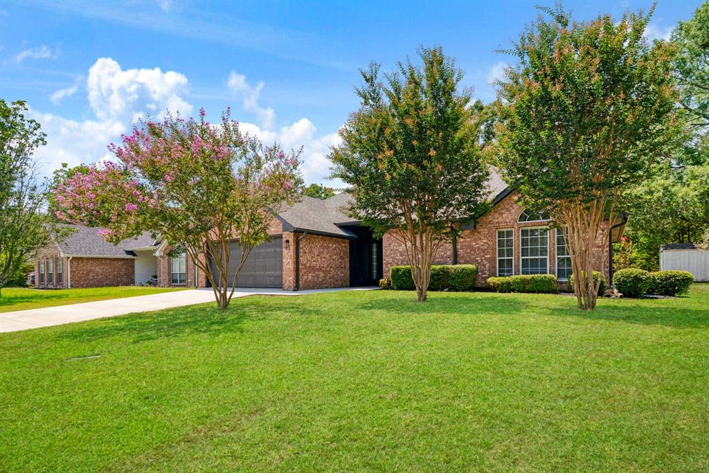 470 Chestnut Ln, Reno, TX 75462