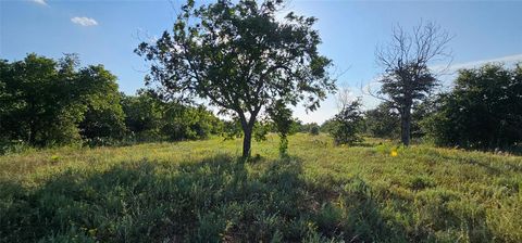 Unimproved Land in Clyde TX TBD CR 250.jpg