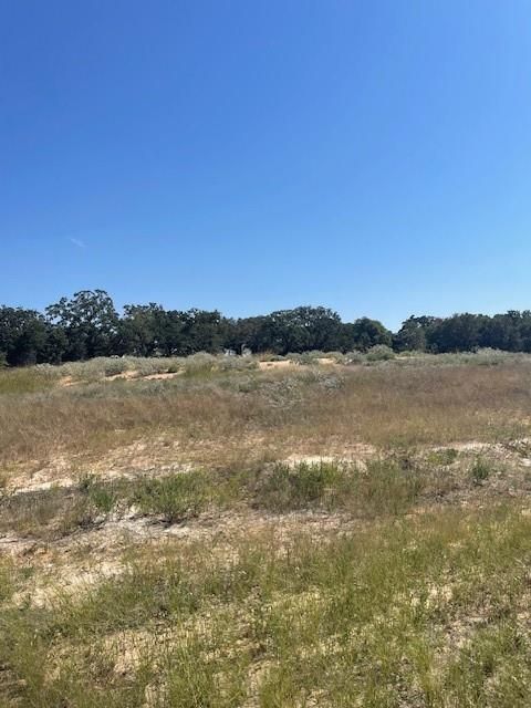 Unimproved Land in Poolville TX 112 Dubois Road.jpg