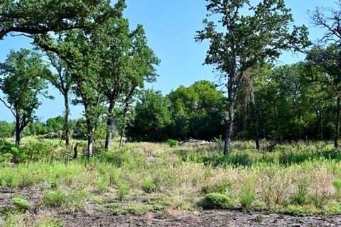 Unimproved Land in Springtown TX Lot 63 Camden Lane.jpg