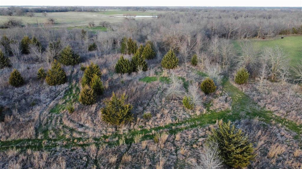7 County Road 3425 #TBD LOT, Honey Grove, TX 75446 photo
