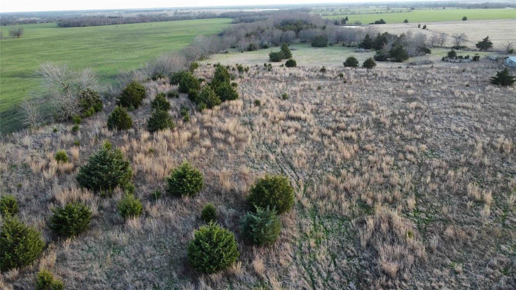 7 County Road 3425 #TBD LOT, Honey Grove, TX 75446 photo
