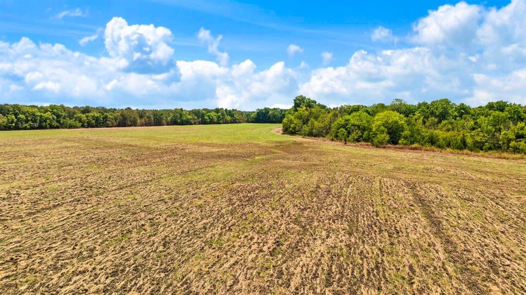 2078 Farm Road 2122, Roxton, TX 75477 photo