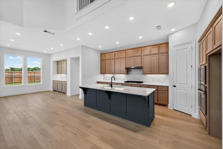 2016 Tallulah Gorge Ct, Celina, TX 75009 photo