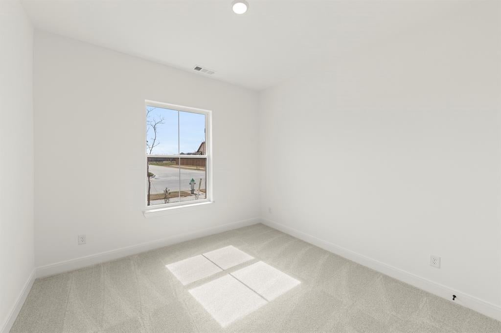 5313 Archeron Ave, Aubrey, TX 75009 photo