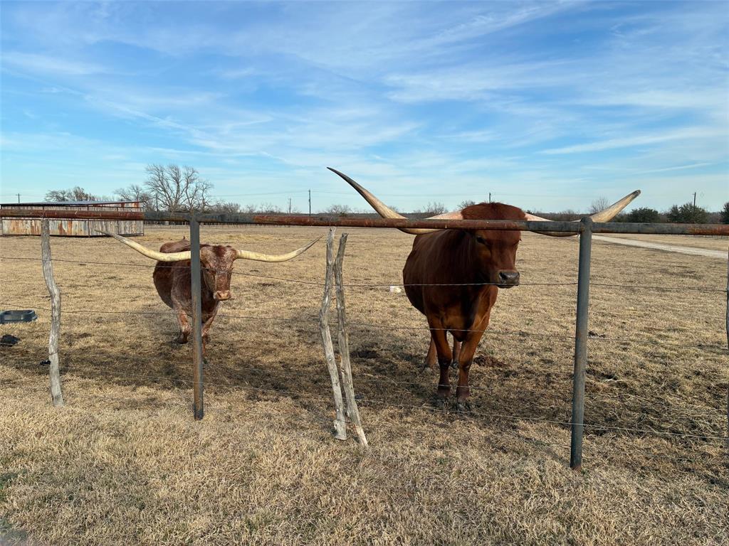 10917 County Road 290, Anna, TX 75409