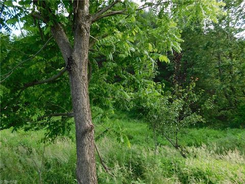 Single Family Residence in Piney Creek NC TBD Lala Way.jpg