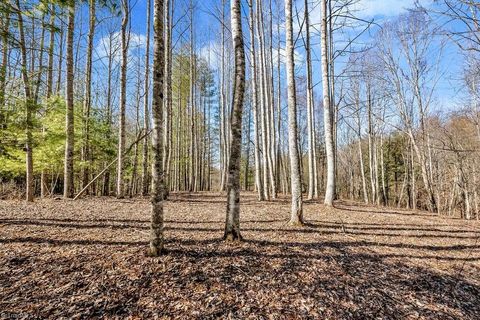 Unimproved Land in Piney Creek NC TBD Topia Road 14.jpg