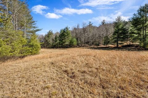 Unimproved Land in Piney Creek NC TBD Topia Road 11.jpg